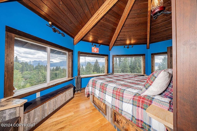 38126 Bobby Rufus Rd, Homer, AK 99603 - bedroom with wooden ceiling, wood finished floors, and multiple windows