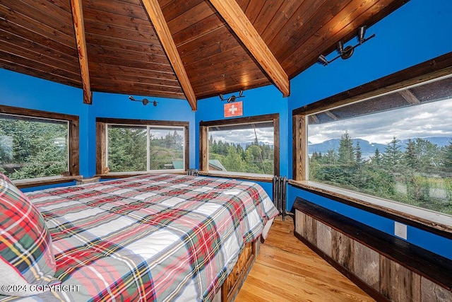 38126 Bobby Rufus Rd, Homer, AK 99603 - bedroom with wooden ceiling and light wood-type flooring