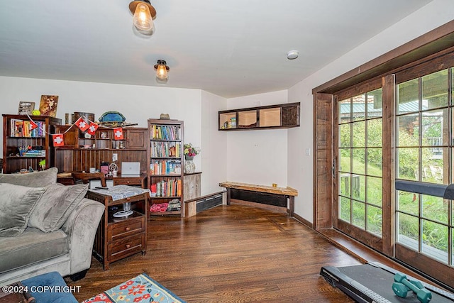 38126 Bobby Rufus Rd, Homer, AK 99603 - living room featuring dark wood finished floors and baseboards