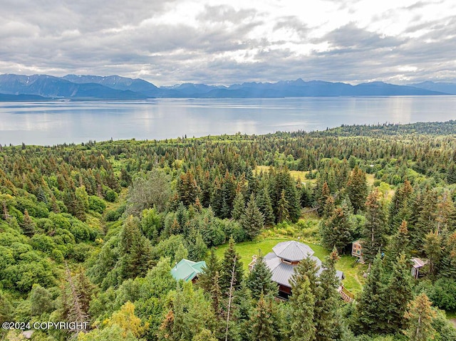 38126 Bobby Rufus Rd, Homer, AK 99603 - drone / aerial view of a water and mountain view and a forest