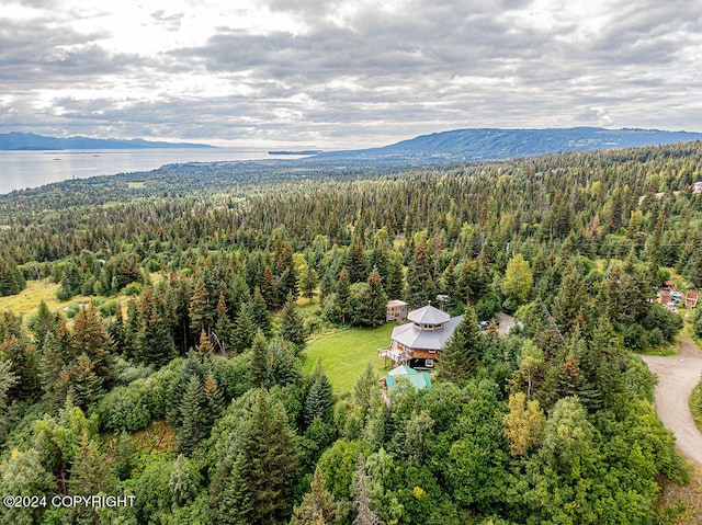 aerial view featuring a water and mountain view