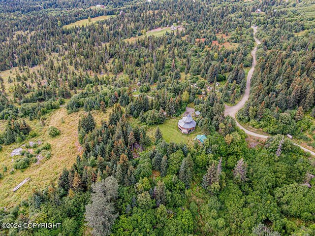 38126 Bobby Rufus Rd, Homer, AK 99603 - aerial overview of property's location featuring a forest
