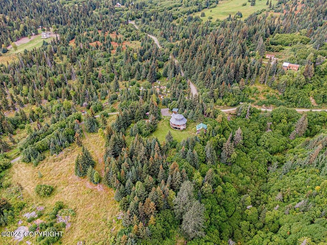 38126 Bobby Rufus Rd, Homer, AK 99603 - aerial view of property and surrounding area featuring a forest