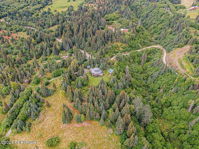 38126 Bobby Rufus Rd, Homer, AK 99603 - aerial overview of property's location with a heavily wooded area