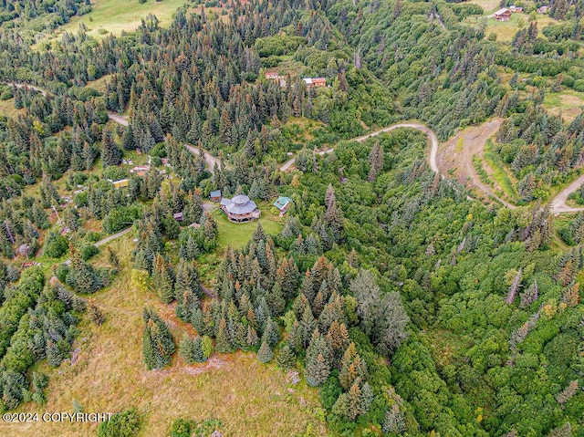 38126 Bobby Rufus Rd, Homer, AK 99603 - aerial overview of property's location featuring a forest