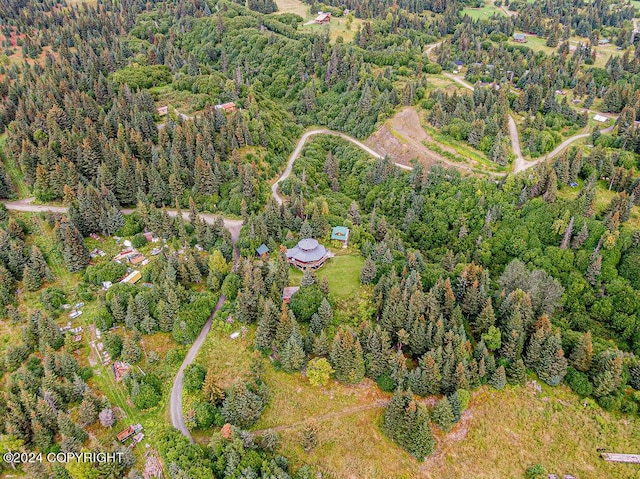 38126 Bobby Rufus Rd, Homer, AK 99603 - aerial overview of property's location featuring a forest