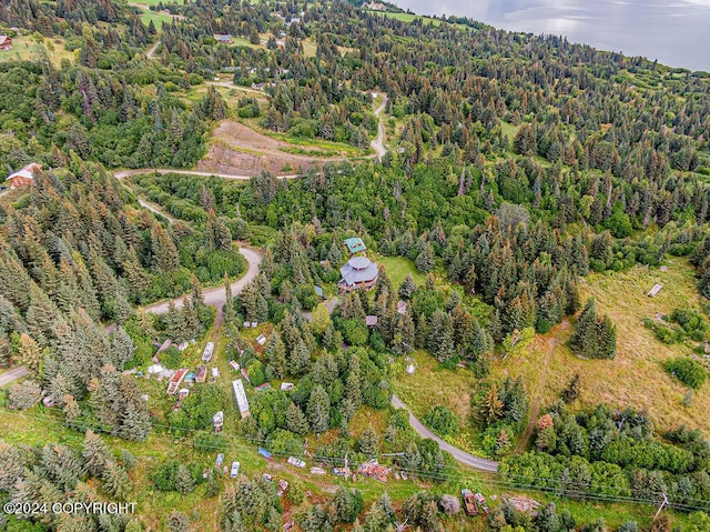 38126 Bobby Rufus Rd, Homer, AK 99603 - aerial view of property and surrounding area with a forest