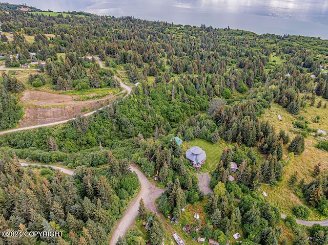 38126 Bobby Rufus Rd, Homer, AK 99603 - aerial view of property's location with a heavily wooded area and a nearby body of water
