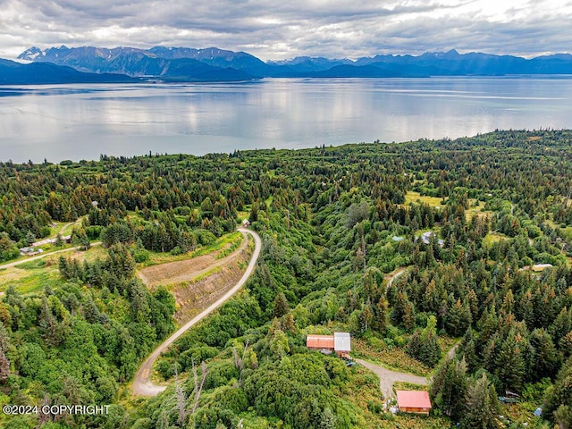 38126 Bobby Rufus Rd, Homer, AK 99603 - drone / aerial view of a water and mountain view and a heavily wooded area