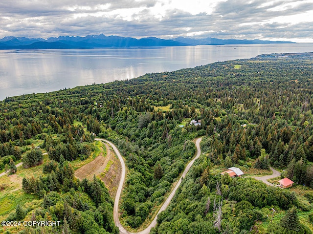 birds eye view of property featuring a water and mountain view