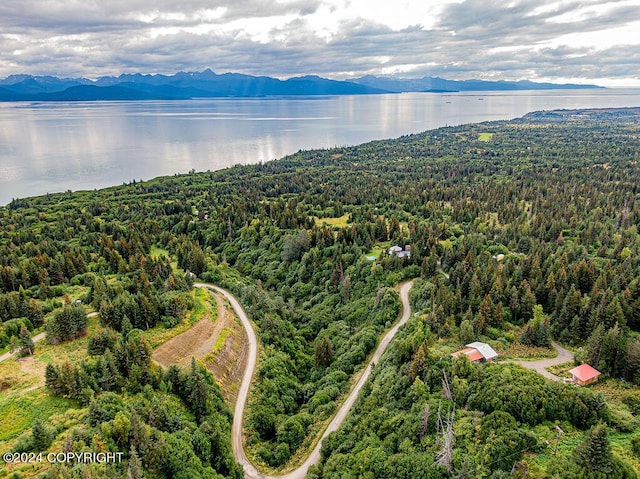 38126 Bobby Rufus Rd, Homer, AK 99603 - bird's eye view of a water and mountain view and a forest