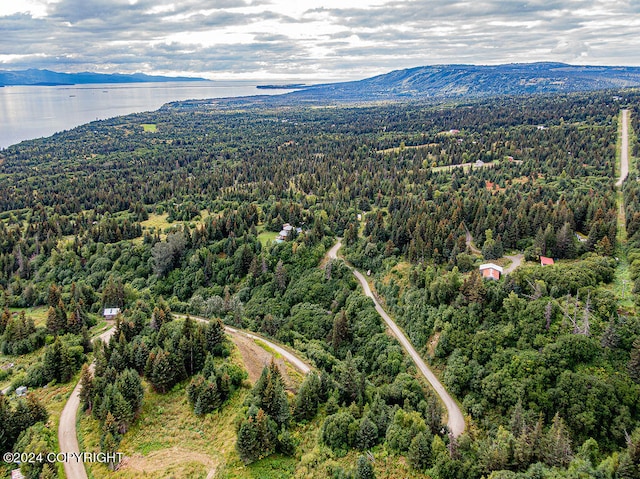 bird's eye view featuring a water and mountain view