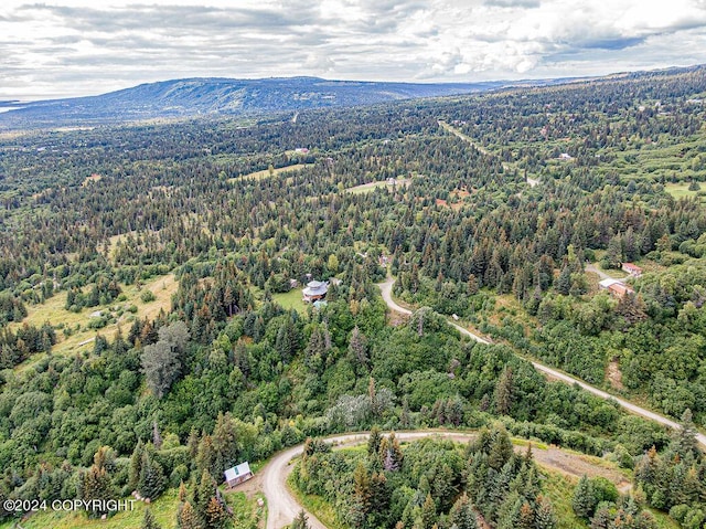 38126 Bobby Rufus Rd, Homer, AK 99603 - aerial view of a forest and a mountain backdrop