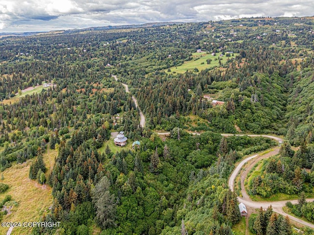 38126 Bobby Rufus Rd, Homer, AK 99603 - aerial view of property's location featuring a forest