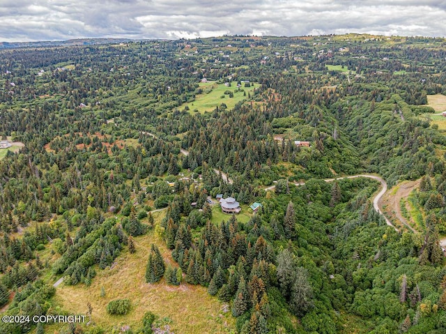 38126 Bobby Rufus Rd, Homer, AK 99603 - aerial overview of property's location with a heavily wooded area
