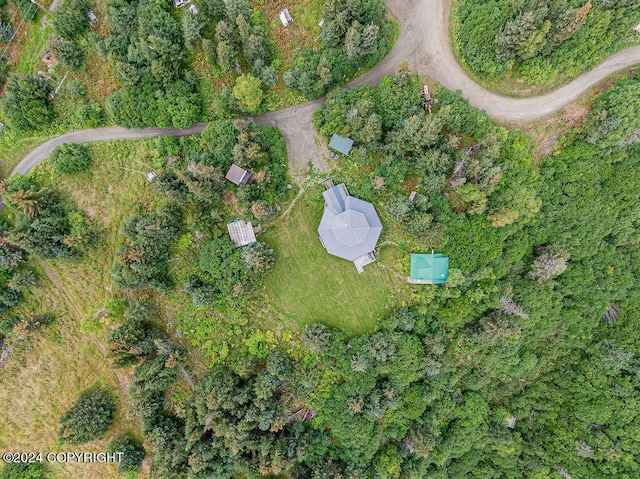 38126 Bobby Rufus Rd, Homer, AK 99603 - aerial view of property and surrounding area