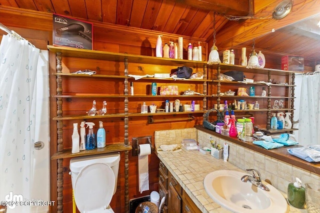 34464 Fishermans Rd, Soldotna, AK 99669 - full bathroom with wood ceiling, vanity, and wood walls
