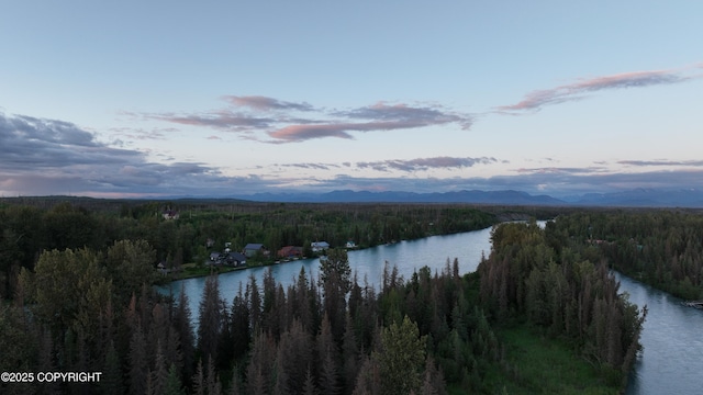 34464 Fishermans Rd, Soldotna, AK 99669 - water view with a heavily wooded area