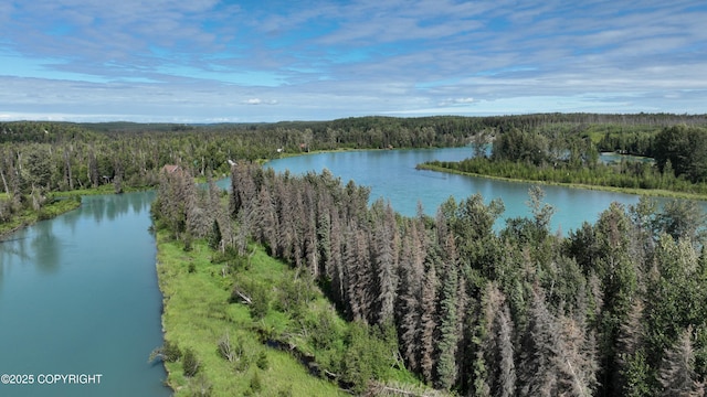 34464 Fishermans Rd, Soldotna, AK 99669 - water view with a heavily wooded area