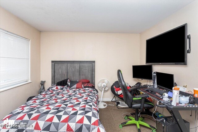 bedroom with carpet flooring