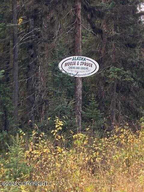 42781 Brenda Way, Soldotna, AK 99669 - exterior view of a heavily wooded area