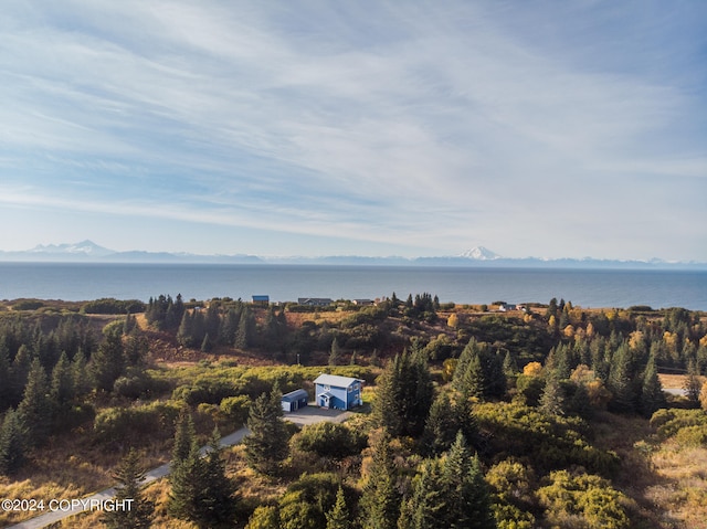 drone / aerial view featuring a water and mountain view