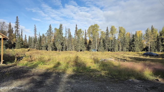 view of local wilderness