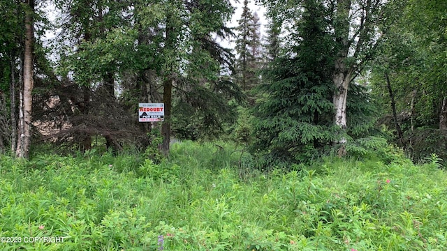 2612 Redoubt Ave, Kenai AK, 99611 land for sale