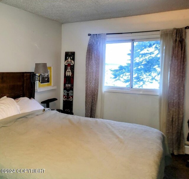 bedroom featuring a textured ceiling