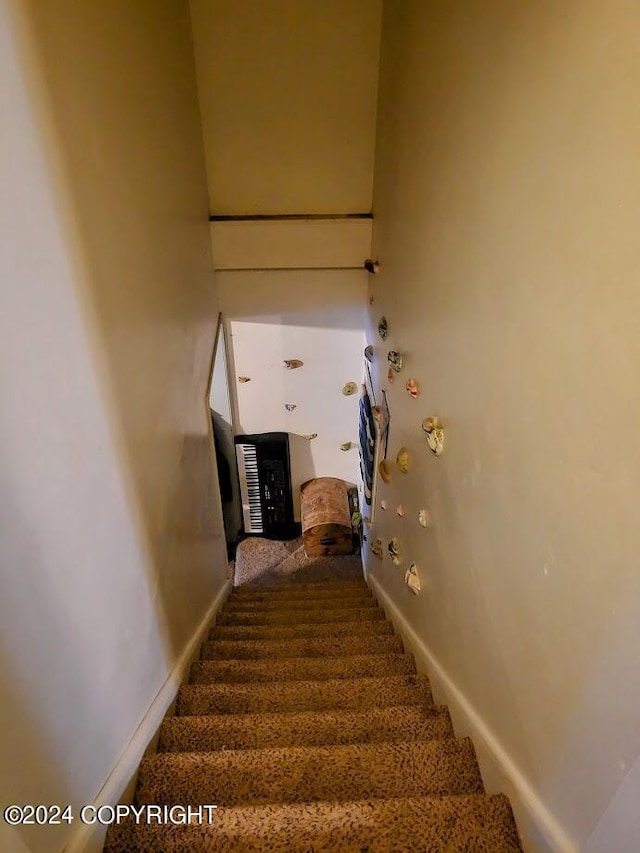 stairs with carpet flooring