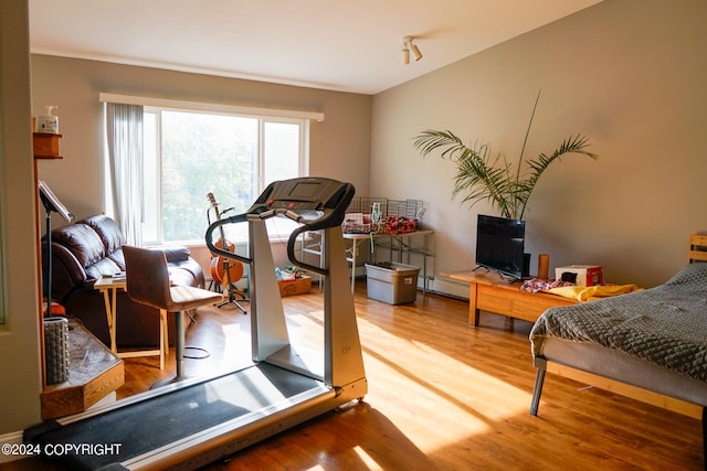 exercise room featuring wood-type flooring