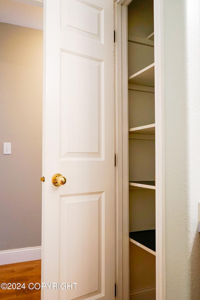 view of closet