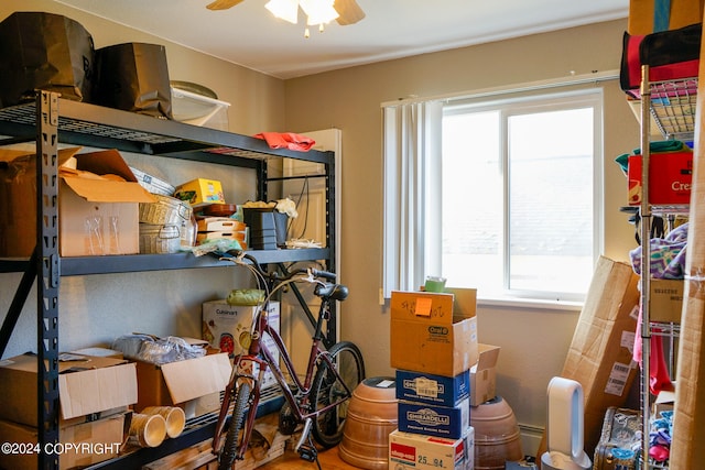 storage with ceiling fan