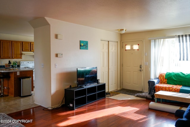 living room featuring wood-type flooring