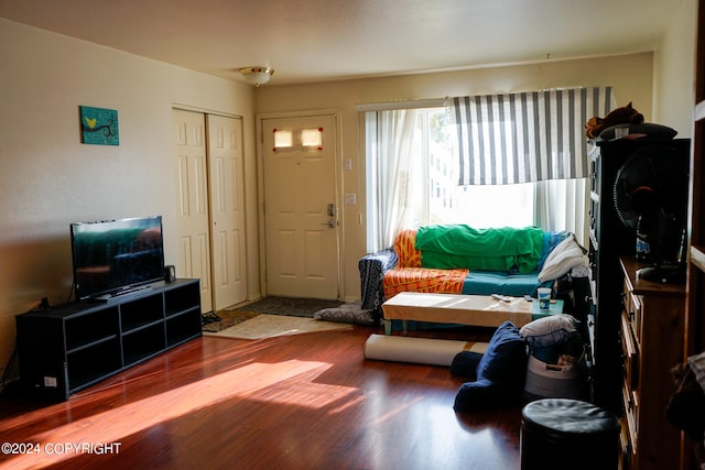 living room featuring wood-type flooring