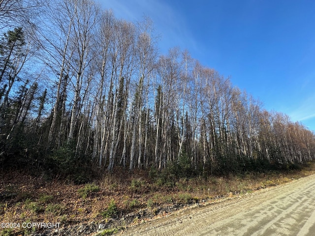 32276 S Mckinley View Dr, Talkeetna AK, 99676 land for sale