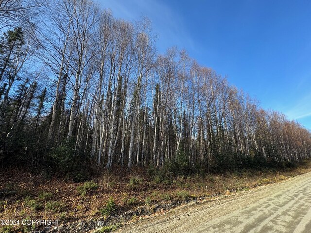 32276 S Mckinley View Dr, Talkeetna, AK 99676 - photo 1