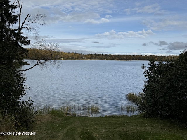 view of water feature