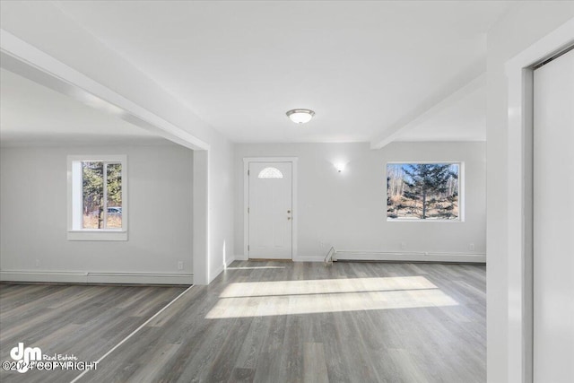 foyer with hardwood / wood-style flooring and a baseboard heating unit