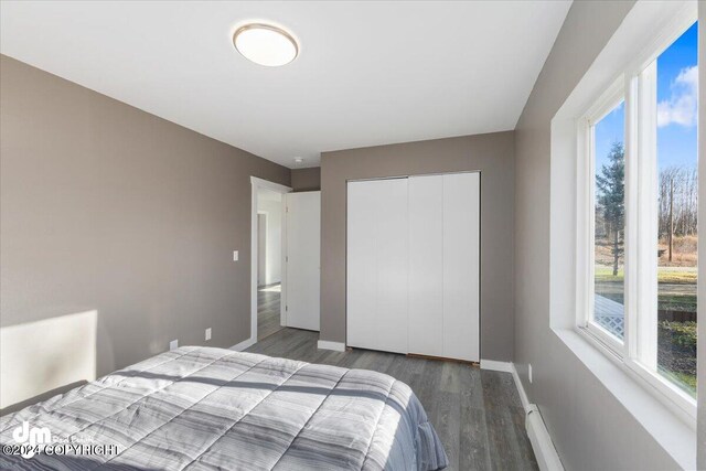 bedroom featuring a closet and dark hardwood / wood-style floors