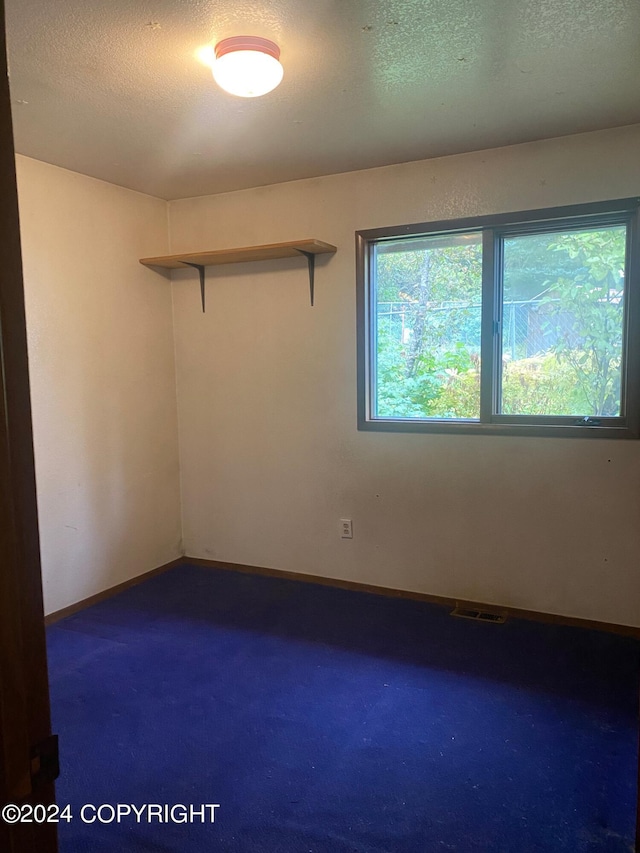 carpeted spare room featuring a textured ceiling