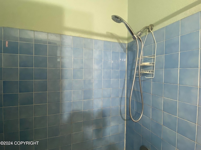 bathroom with tiled shower