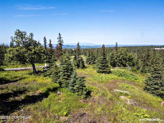 Listing photo 2 for L3B5 Mountain Air Dr, Anchorage AK 99516