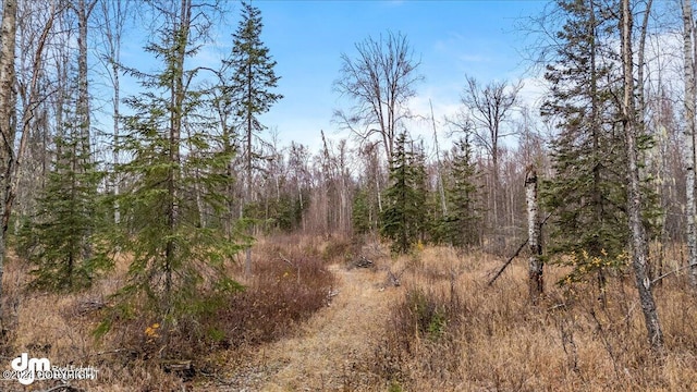 view of local wilderness