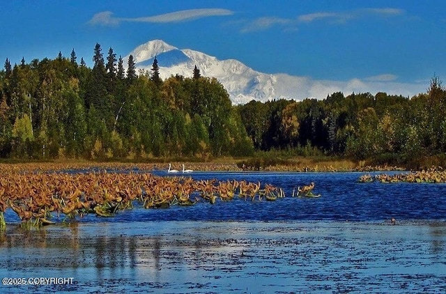 view of water feature with a mountain view