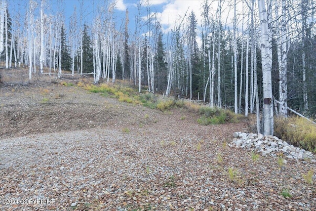 Tract-C Birch Bend Court, Fairbanks AK, 99712 land for sale