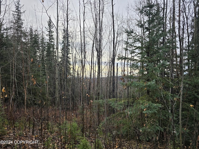 Listing photo 3 for L3B2 Hillary Ave, Fairbanks AK 99709