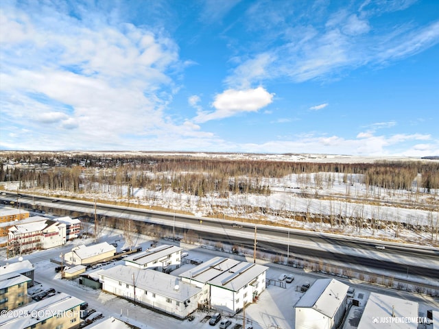 view of snowy aerial view