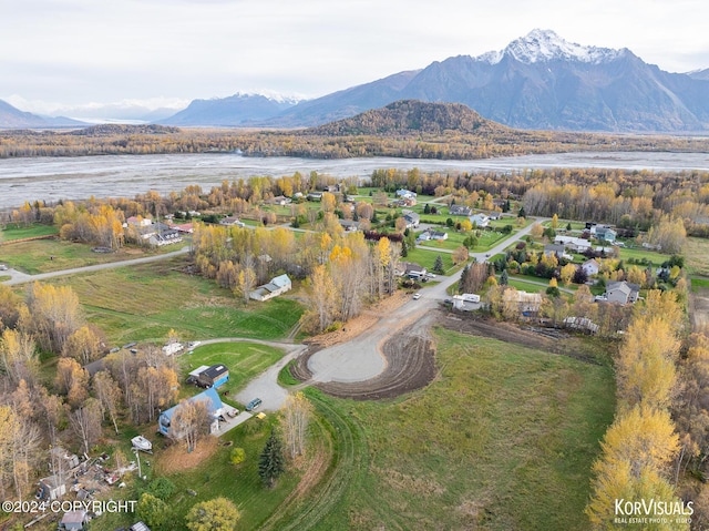 1115 S Jewel St, Palmer, AK 99645