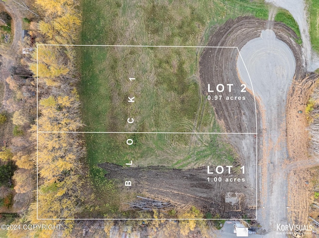 1115 S Jewel St, Palmer, AK 99645
